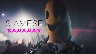 Siamese - B.A.N.A.N.A.S (Official Video) chords