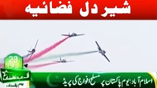 Paf Chief And Sherdil Show Off Air Force Power In Stan Day Parade