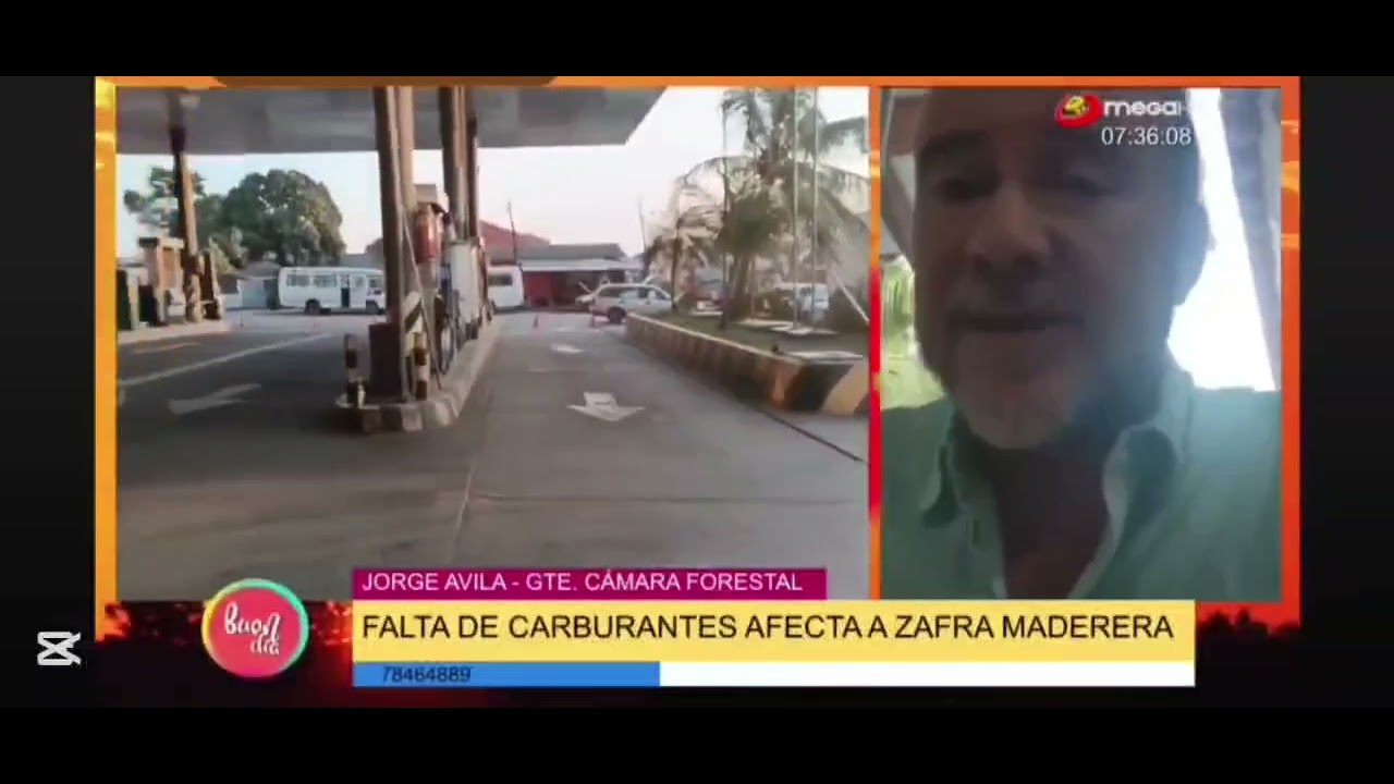 Crisis de diésel y contrabando de madera agravan situación del sector forestal boliviano