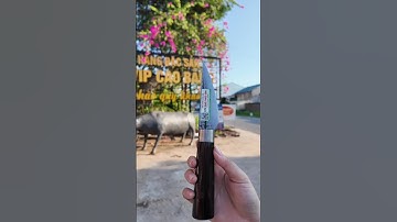 Dao chuyên thái lọc,lựa chọn hoàn hảo cho các bác cần lọc nhiều,nhỏ gọn ,sắc bén