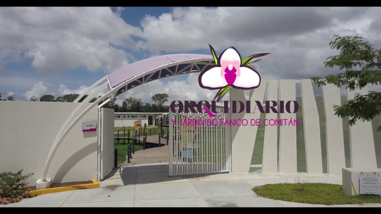 Orquidiario y Jardín Botánico de Comitán - YouTube