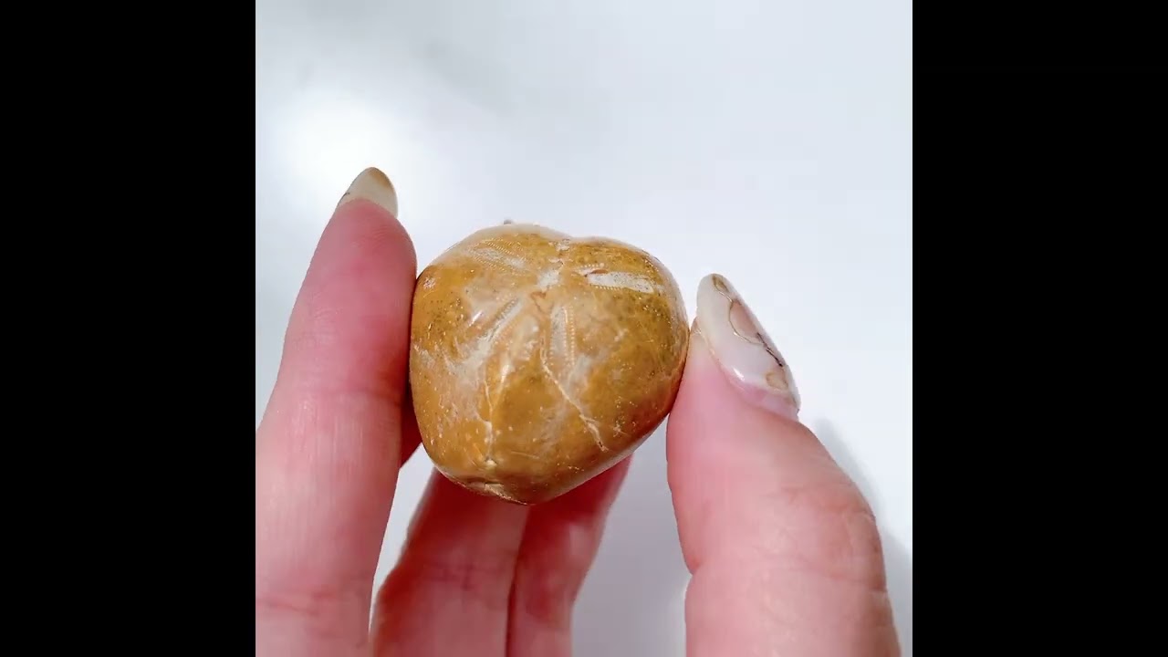 サンドダラー(ウニ化石) ハート型 小 | ハート型 | Crystals by Purely