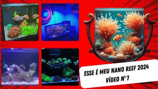 Esse é meu Nano Reef 2024 - Vídeo nº7 by Aquário Marinho -Sem Grana 2,779 views 4 weeks ago 11 minutes, 2 seconds