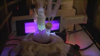 Famous Cdse zns quantum dots Net Worth