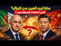 ماذا تريد الصين من الجزائر  تقرير استخباراتي امريكي يكشف الإجابة   وما علاقة المغرب ومصر  سمعها
