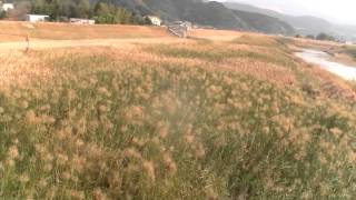吉松の愛宕温泉へ行く20131225(4)吉松橋から吉松町庁舎へ歩く