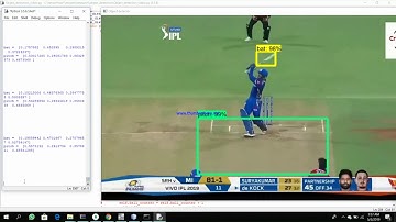 Object detection Cricket