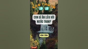 Câu Đố Vui Nhộn 2: Thử Thách Tư Duy Logic Của Bạn p27 | Cao Thủ IQ #funny #dovui #giaitri #haihuoc
