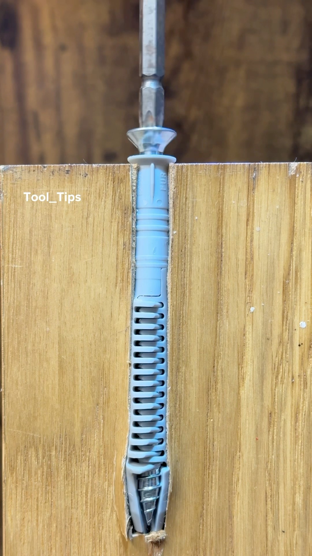 Show Tips