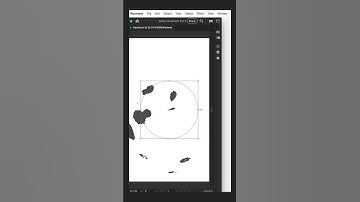 Working With Brushes in Adobe Illustrator