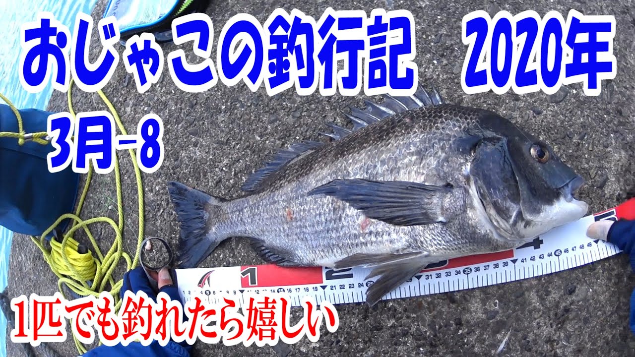 黒鯛氏 アサリの剥き身美味しかったです Youtube 黒鯛氏 アサリの剥き身美味しかったです Youtube
