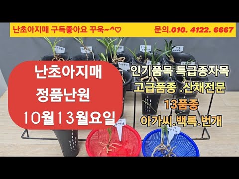 유튜브 썸네일
