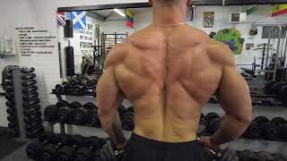 Classic physique / bodybuilding / contest prep - 4 weeks out
