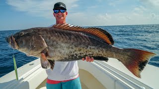 GIANT Rare Grouper! Catch Clean Cook! Copper Belly Gag Grouper- (Panama City Fishing)