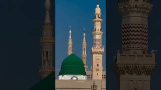 Ham Ny Ankhun Sy Dekha Nahi Ha Magar / New Naat Sherif @theIslamicflag3 #Shorts #Nasheed #Islam