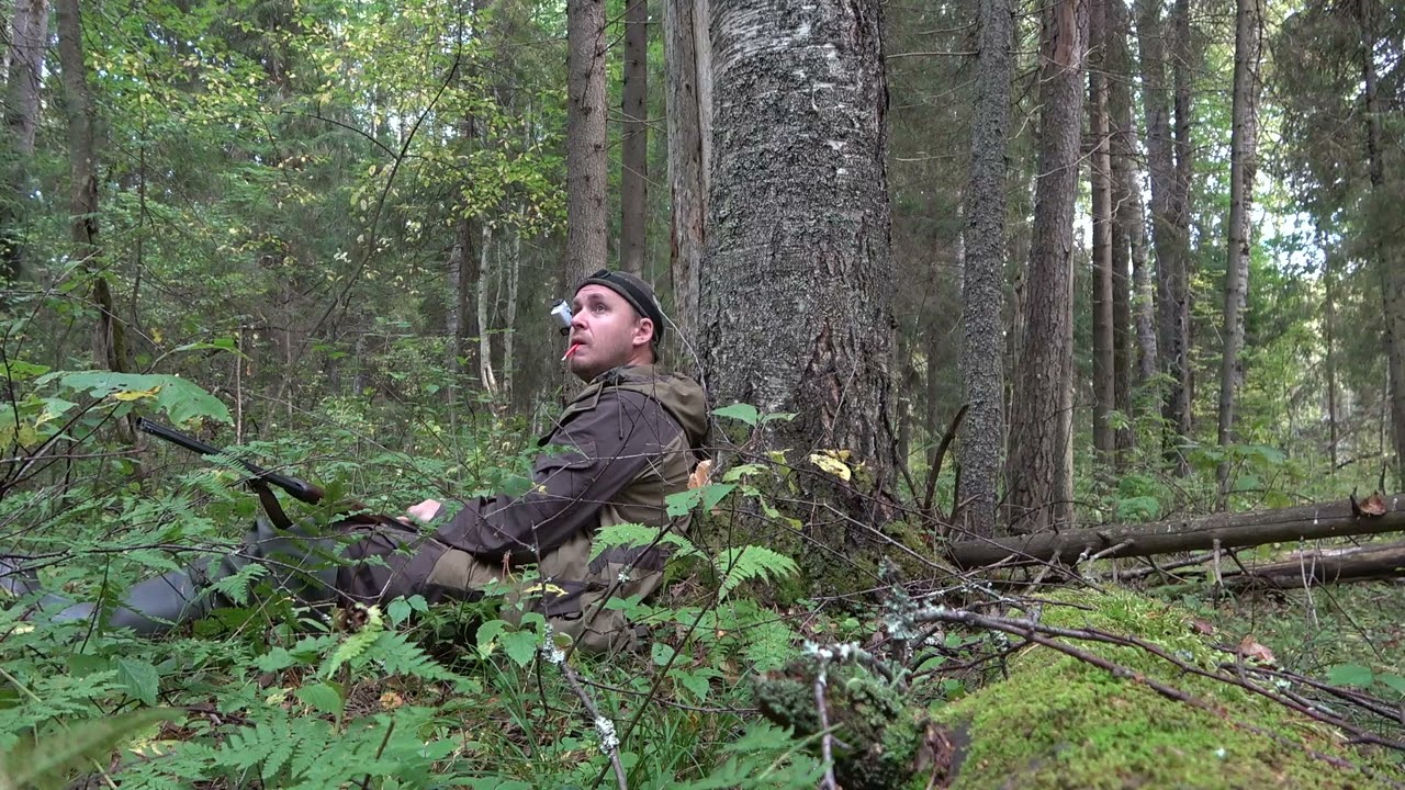 Охота на рябчика Non stop #1 \ Как манить неактивного рябчика