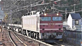 【EF81 日本縦断】JR貨物 EF81 28号機 貨物列車 山科駅にて 2010年1月24日 撮影