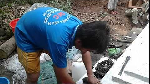 LỄ BỐC CỐT - VTS 01 3 -  F.3/4