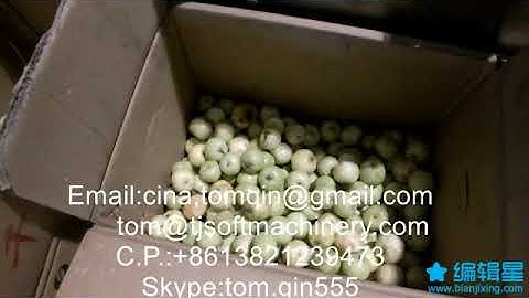 dates jujube small fruits sorting grading machine