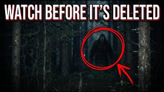 Bigfoot Got 3 Feet Away — The Most Disturbing Real Encounters Ever Recorded