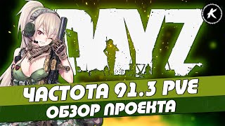 : DAYZ |    91.3 PVE | ,  #dayz