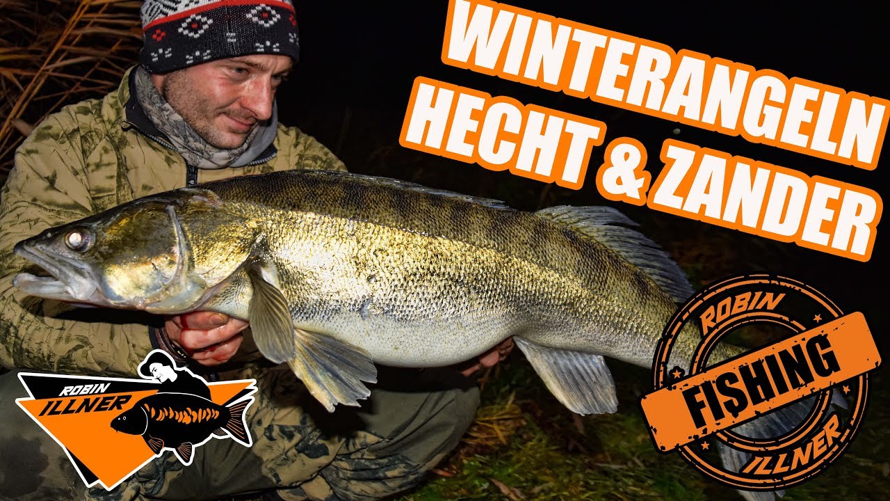 Angel Domäne Pike Attack Deadbait-Set – Perfektes Hecht Köderfisch Set Mit Posen, Vorfächern, Blei, Wirbel & Tacklebox