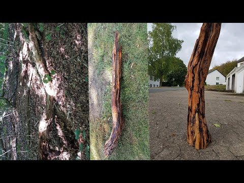 Что можно сделать с трухлявой коряги?