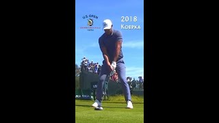 Come Stay with Us in Tranquility on the Water #usga #shorts