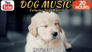 20 HOURS of Dog Calming Music🦮💖relaxing music🐶🎵Anti Separation Anxiety Relief Music⭐Healingmate by HealingMate - Dog Music 21,065 views 3 weeks ago 20 hours