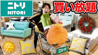 【買い放題】ニトリ貸切って好きなだけ家具を買てみた！