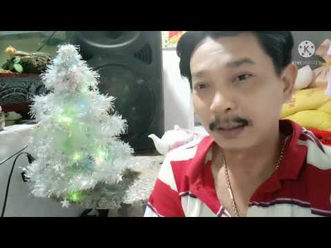 Video: Cách Làm Cây Thông Noel Từ Chai Sâm Panh