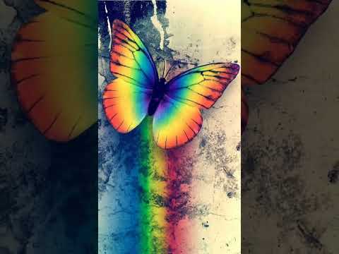 Image Coloré à Mettre En Fond D écran Pinterest