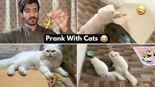 Lizard Prank  With Max & Muffin  || Prank Gone Wrong