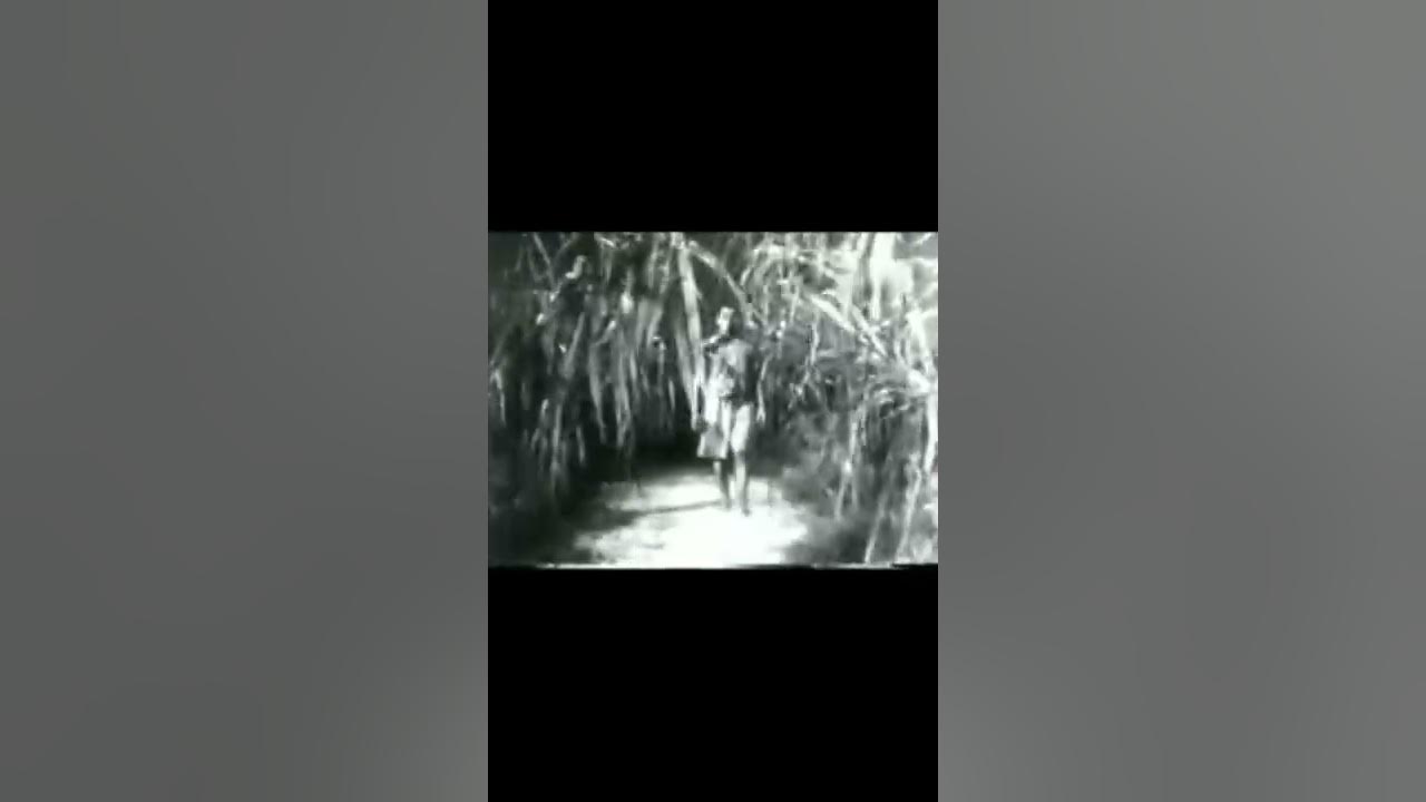 Tiara versi P.Ramlee tiara engkaulaksanabulan YouTube