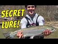 How to Catch Ohio Steelhead - Complete Beginner's Guide (Gear, Spots, Lures, Tips & More!)