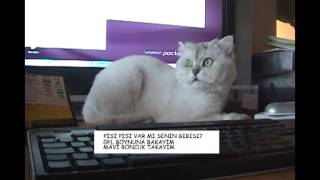 PİSİ PİSİ tekerleme