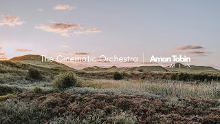 The Cinematic Orchestra | Amon Tobin - Mix (Pt.1)