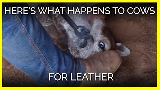 Don't Let Levi's Get Away With This | PETA