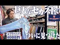 【神回】セカスト名古屋大須店でお宝ヴィンテージリーバイス見つけました【古着屋/リーバイス/ヴィンテージ】