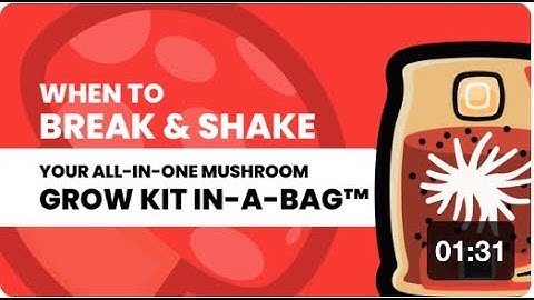 5: When to Perform the Break and Shake Method for the Mushroom Grow Kit In-A-Bag™