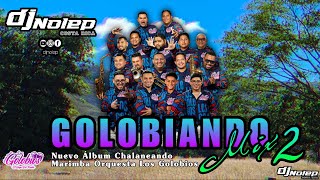 GOLOBIANDO MIX 2 | DJ NOLEP X MARIMBA ORQUESTA LOS GOLOBIOS🎶🔥