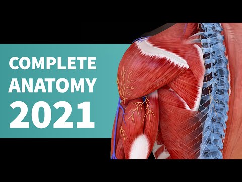 Introducing Complete Anatomy 2021