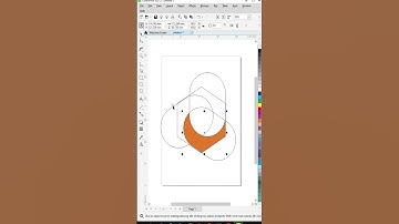 3d Unique Pemula Logo Design in CoralDraw | Lunar Computer College