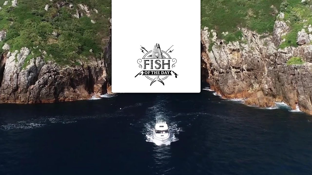 Fish of the Day Saison#2 Episode#6 - Découverte de l’un des 10 plus beaux paysages de Cousteau !