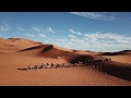 Camel Ride into the Sahara Desert