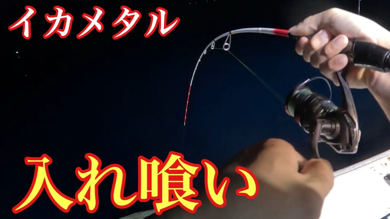 イカメタルで今期初の入れ喰いを味わいました！【イカメタル＆オモリグ】