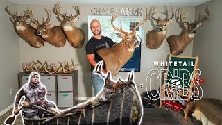 Wisconsin Man Cave! Big Mature Wisconsin Bucks!  #WhitetailCribs