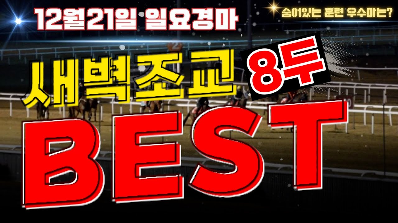 [굽소리경마] 12월21일 일요경마!! 마지막 경마일 승리로 이끌 훈련 우수마 8두!!#새벽조교#과천경마장#조교우수마#굽소리경마