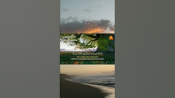 سورة الناس بصوت شيخ علاء عقل #samayranarula