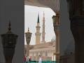 New Islamic video#shortvideo#islam #makkhamadina#explore#ertugrul #facts#historyofprophets #ertugrul